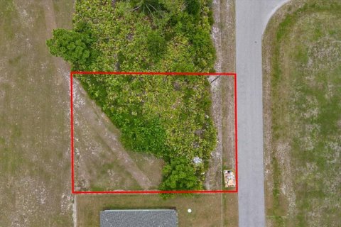 Land in Placida, Florida № 2162115 - photo 4