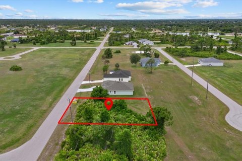 Land in Placida, Florida № 2162115 - photo 8