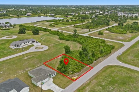 Land in Placida, Florida № 2162115 - photo 3