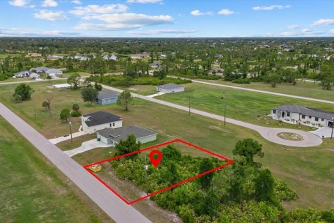 Land in Placida, Florida № 2162115 - photo 6