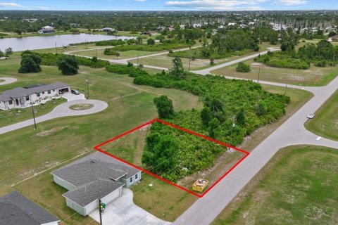 Land in Placida, Florida № 2162115 - photo 9