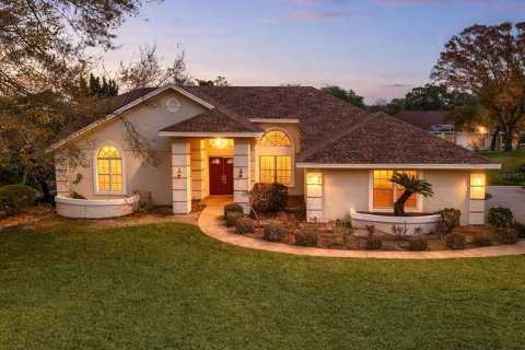 Casa en Lady Lake, Florida 3 dormitorios, 273.88 m2 № 2232023