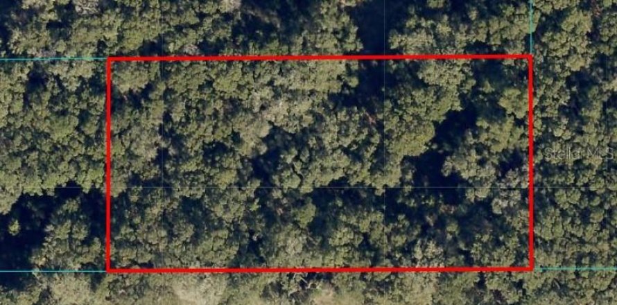 Land in Ocala, Florida № 1854697