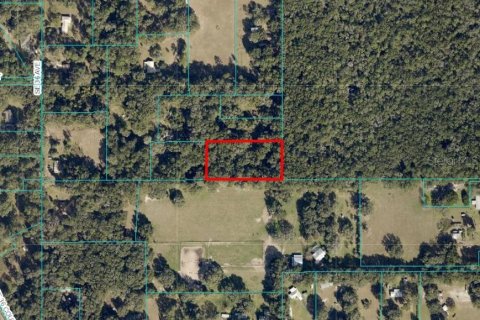 Land in Ocala, Florida № 1854697 - photo 2