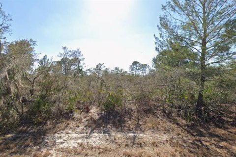 Land in Lake Placid, Florida № 2228724