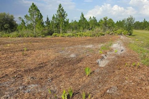 Land in Indian lake estates, Florida № 2277366