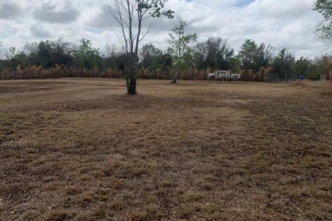 Propiedad comercial en venta en Okeechobee, Florida № 2146123 - foto 15
