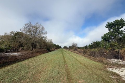 Propiedad comercial en venta en Okeechobee, Florida № 2146123 - foto 7