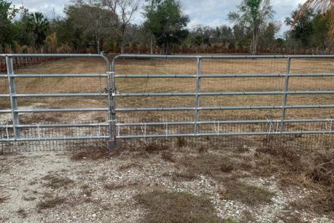 Propiedad comercial en venta en Okeechobee, Florida № 2146123 - foto 13