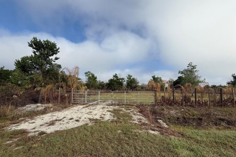 Propiedad comercial en venta en Okeechobee, Florida № 2146123 - foto 8