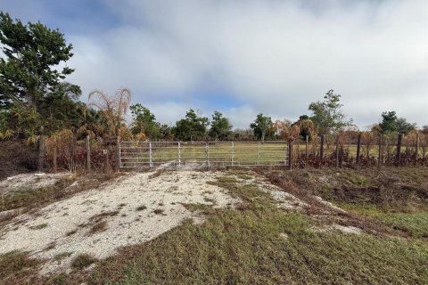 Propiedad comercial en venta en Okeechobee, Florida № 2146123 - foto 2