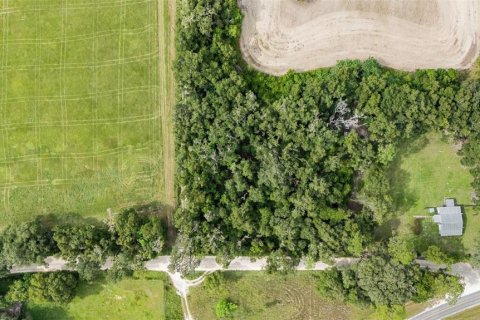 Купить земельный участок в Ньюбери, Флорида № 1916350 - фото 11