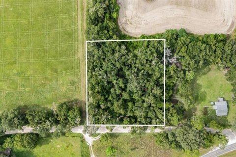 Купить земельный участок в Ньюбери, Флорида № 1916350 - фото 10