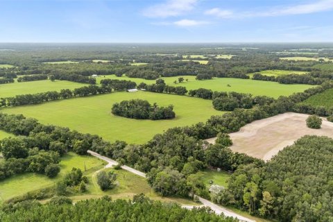 Купить земельный участок в Ньюбери, Флорида № 1916350 - фото 5