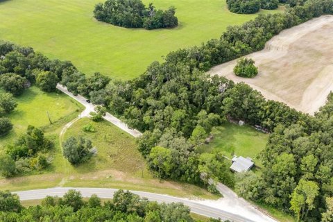 Купить земельный участок в Ньюбери, Флорида № 1916350 - фото 7