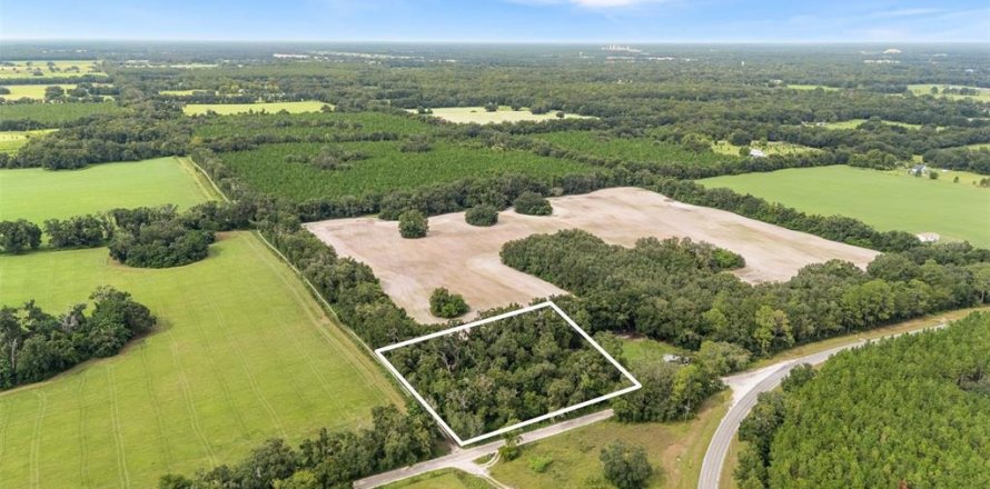 Terreno en Newberry, Florida № 1916350