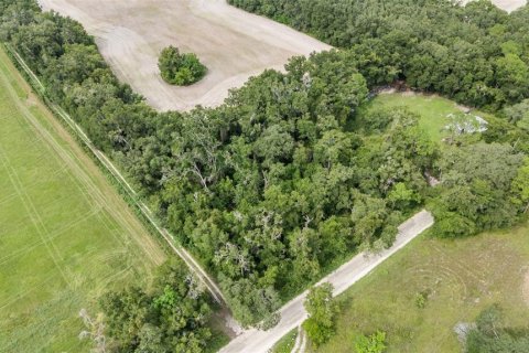 Купить земельный участок в Ньюбери, Флорида № 1916350 - фото 2