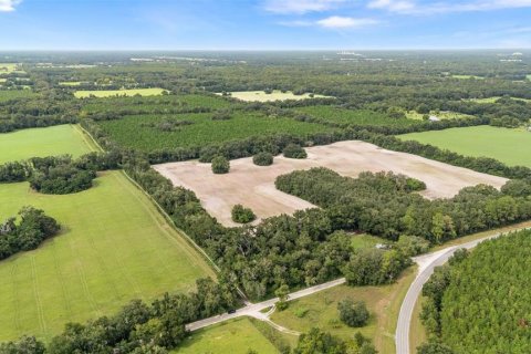 Купить земельный участок в Ньюбери, Флорида № 1916350 - фото 3