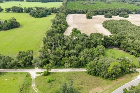 Купить земельный участок в Ньюбери, Флорида № 1916350 - фото 4