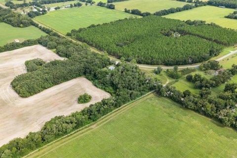 Купить земельный участок в Ньюбери, Флорида № 1916350 - фото 13