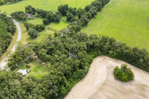 Купить земельный участок в Ньюбери, Флорида № 1916350 - фото 8