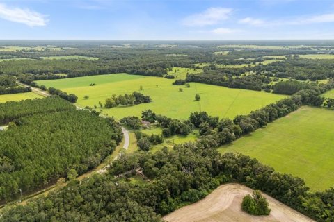 Купить земельный участок в Ньюбери, Флорида № 1916350 - фото 9