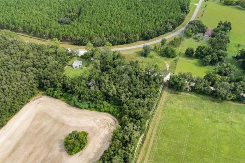 Купить земельный участок в Ньюбери, Флорида № 1916350 - фото 12