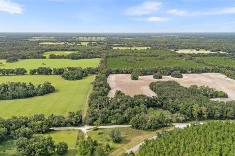 Купить земельный участок в Ньюбери, Флорида № 1916350 - фото 14