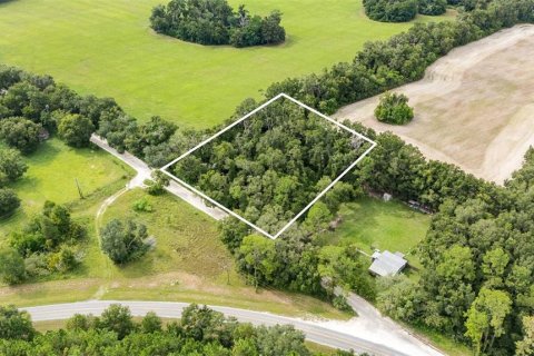 Купить земельный участок в Ньюбери, Флорида № 1916350 - фото 6