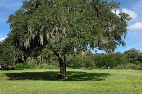 Land in Sarasota, Florida № 230515 - photo 2