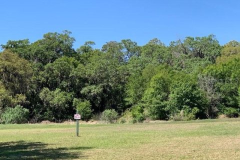 Land in Sarasota, Florida № 230515 - photo 4