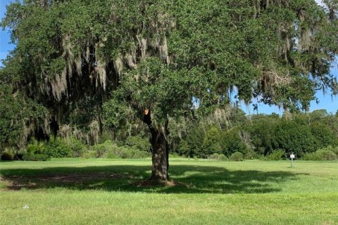 Land in Sarasota, Florida № 230515 - photo 1