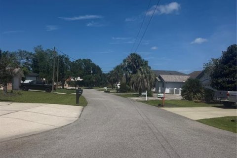 Terreno en venta en Palm Coast, Florida № 2148980 - foto 6