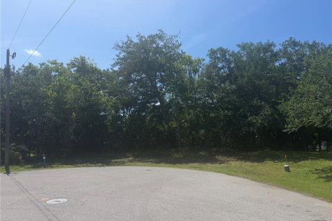 Terreno en venta en Palm Coast, Florida № 2148980 - foto 5
