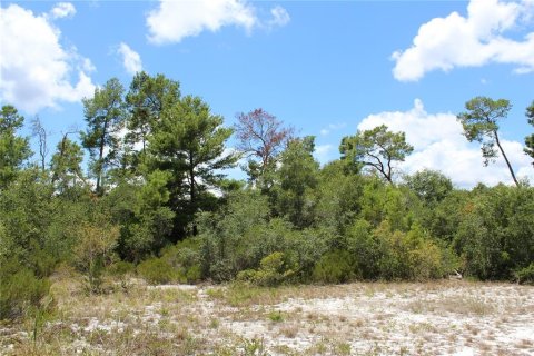 Terreno en venta en Deltona, Florida № 1800605 - foto 10