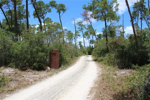 Terreno en venta en Deltona, Florida № 1800605 - foto 3