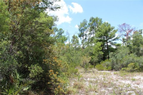 Terreno en venta en Deltona, Florida № 1800605 - foto 9