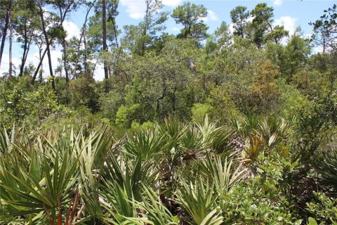 Terreno en venta en Deltona, Florida № 1800605 - foto 18