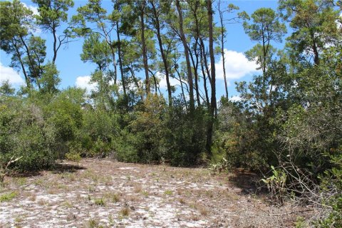 Terreno en venta en Deltona, Florida № 1800605 - foto 13
