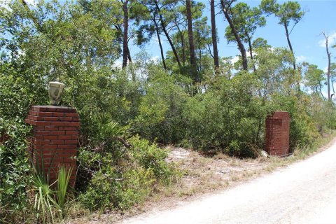 Terreno en venta en Deltona, Florida № 1800605 - foto 2