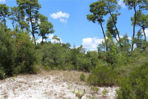 Terreno en venta en Deltona, Florida № 1800605 - foto 12