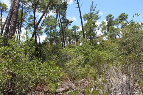 Terreno en venta en Deltona, Florida № 1800605 - foto 20