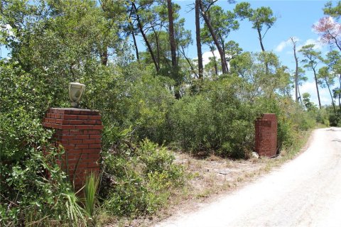 Terreno en venta en Deltona, Florida № 1800605 - foto 1