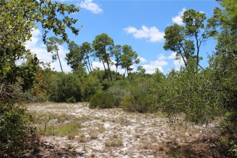 Terreno en venta en Deltona, Florida № 1800605 - foto 14