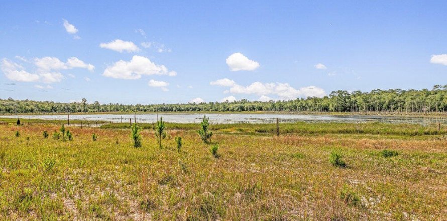 Land in Melrose, Florida № 767482