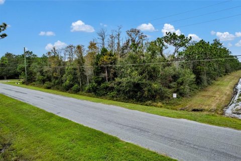 Terreno en venta en Orlando, Florida № 2143095 - foto 4