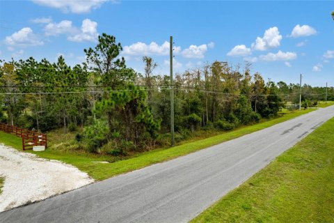 Terreno en venta en Orlando, Florida № 2143095 - foto 5