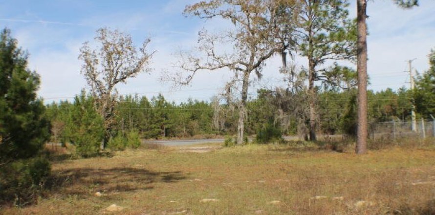 Terreno en Keystone Heights, Florida № 859666