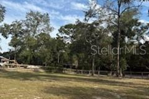 Land in Dunnellon, Florida № 1907506 - photo 4