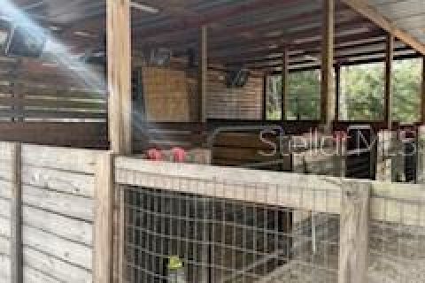 Land in Dunnellon, Florida № 1907506 - photo 2